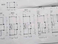 7室4廳2陽臺 林與堂別墅戶型圖