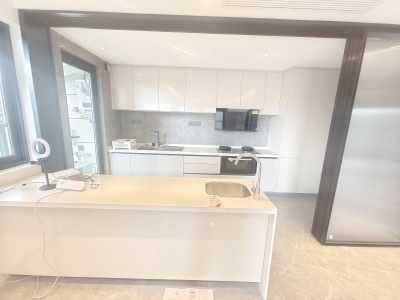 4室2廳3陽臺 萬科500里南澤紀