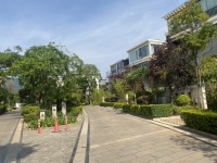 24室12廳8陽臺 海埂明珠觀海別墅別墅客廳