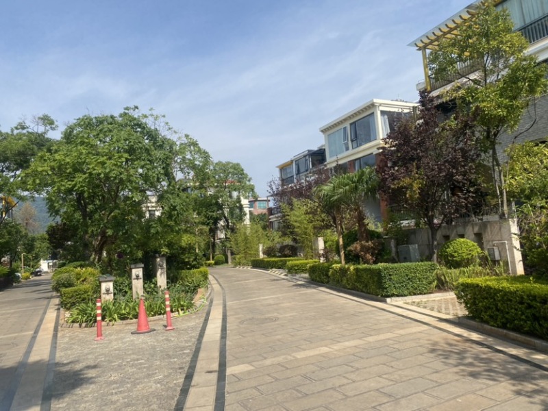 24室12廳8陽臺 海埂明珠觀海別墅別墅客廳