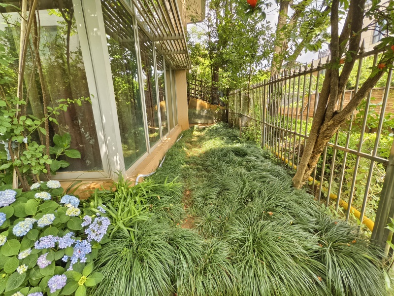 6室2廳3陽臺(tái) 滇池高爾夫別墅別墅自家花園