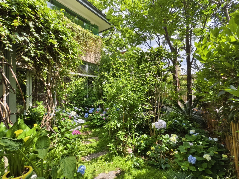 6室2廳3陽臺(tái) 滇池高爾夫別墅別墅自家花園