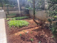 24室12廳8陽臺 海埂明珠觀海別墅別墅客廳