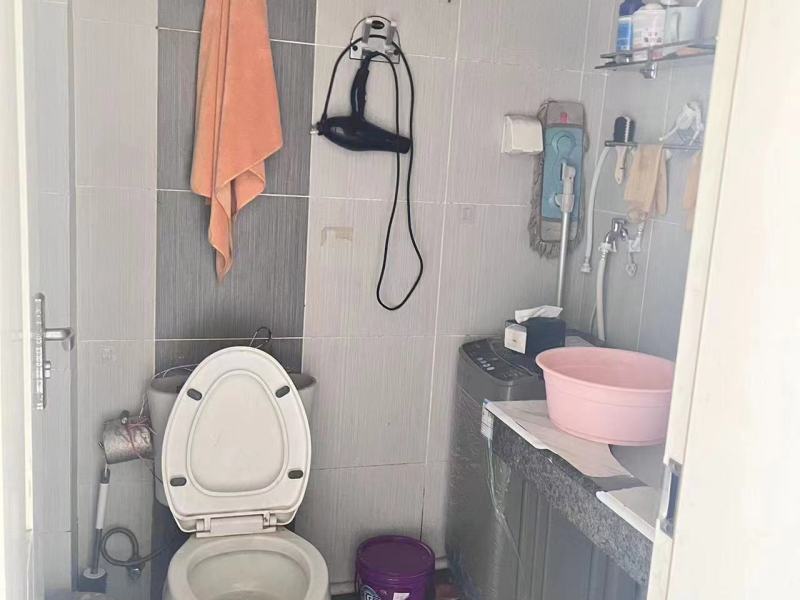 1室1廳1陽臺 楓藍(lán)國際衛(wèi)生間