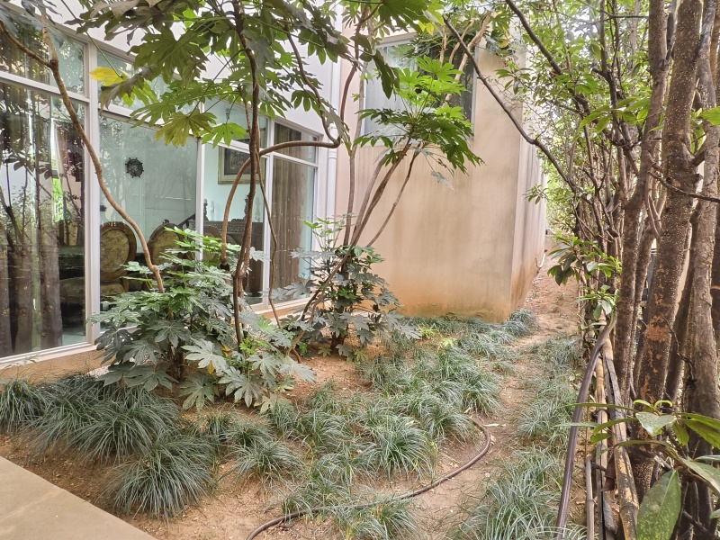 6室2廳3陽臺(tái) 滇池高爾夫別墅別墅自家花園