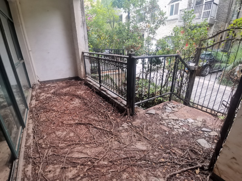 5室3廳3陽臺 貴研自然界別墅陽臺