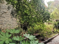 5室3廳3陽臺 貴研自然界別墅自家花園