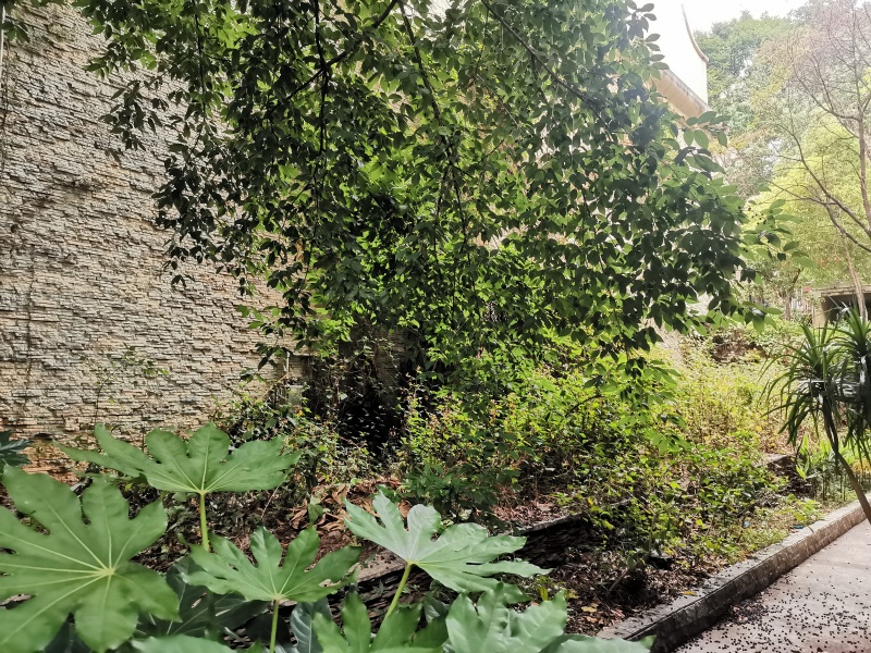 5室3廳3陽臺 貴研自然界別墅自家花園