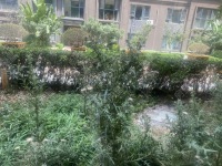 4室2廳2陽臺 萬科銀海泊岸觀瀾自家花園