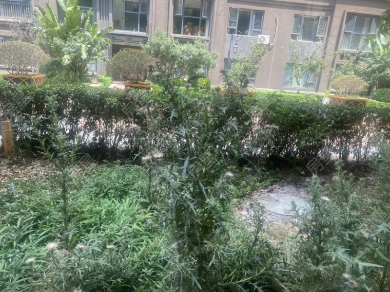 4室2廳2陽臺 萬科銀海泊岸觀瀾自家花園