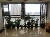 4室2廳2陽臺 云安陽光城陽臺