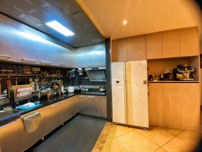 4室2廳3陽臺 貴研自然界廚房