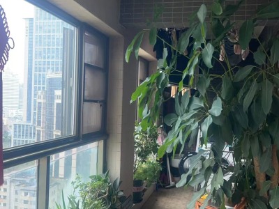 4室2廳3陽臺 七彩俊園