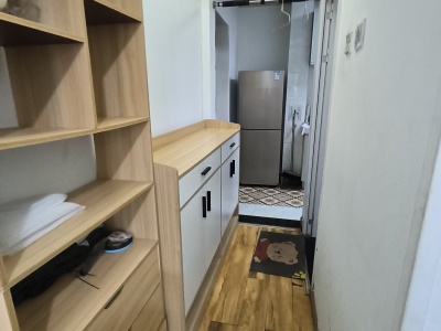 1室1廳1陽(yáng)臺(tái) 南亞未來(lái)城