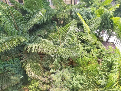 1室1廳2陽臺 匯都國際二期