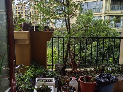 4室2廳2陽臺 滇池印象花園