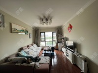 3室2廳1陽臺 藍(lán)光COCO蜜城客廳