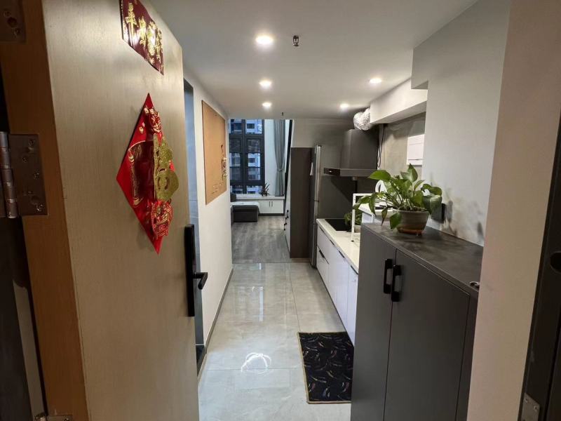 1室1廳 華潤(rùn)悅府二期公寓客廳