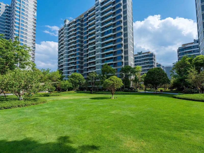 2室2廳2陽臺 七彩云南古滇名城春風(fēng)小院一期客廳