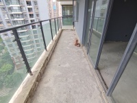 4室2廳2陽臺 云投尚苑陽臺