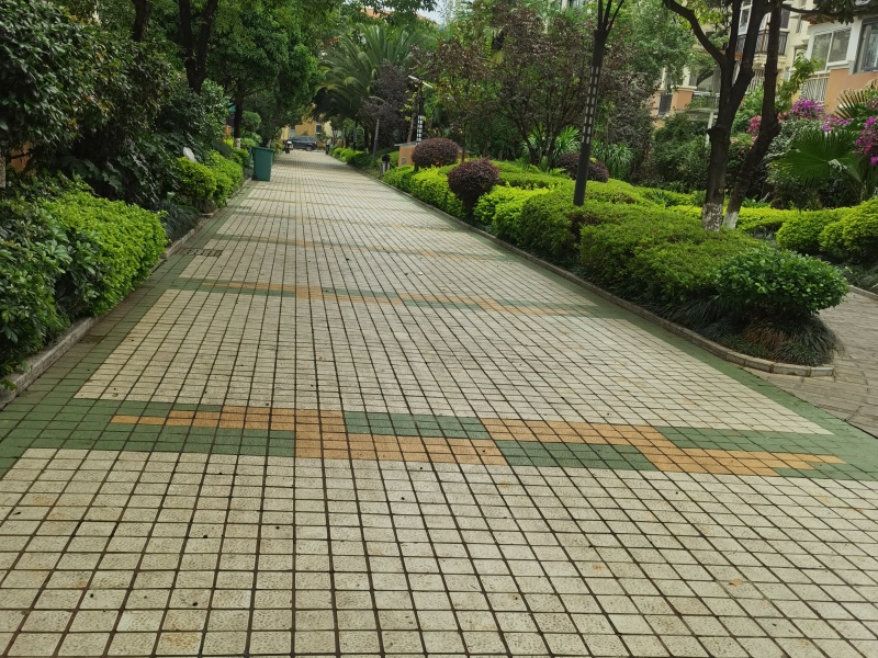 5室2廳3陽(yáng)臺(tái) 玫瑰灣小區(qū)別墅其他