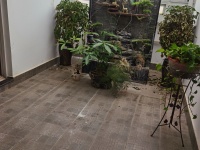 5室2廳3陽(yáng)臺(tái) 玫瑰灣小區(qū)別墅其他