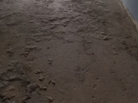 4室2廳2陽臺 云投尚苑臥室