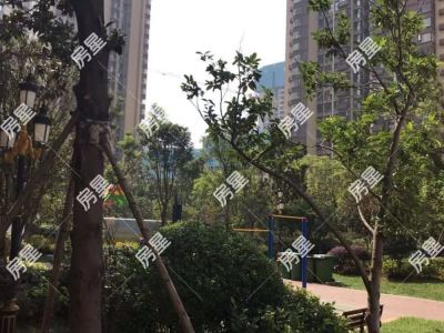 3室2廳2陽臺(tái) 新希望希望匯