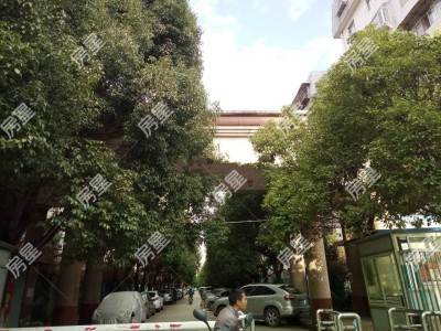 3室2廳 怡園小區(qū)