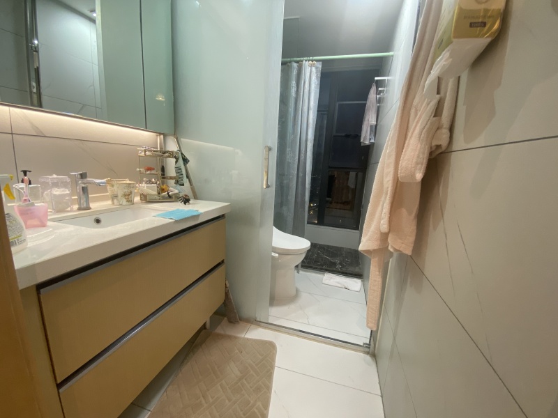 2室2廳 江東境界衛(wèi)生間