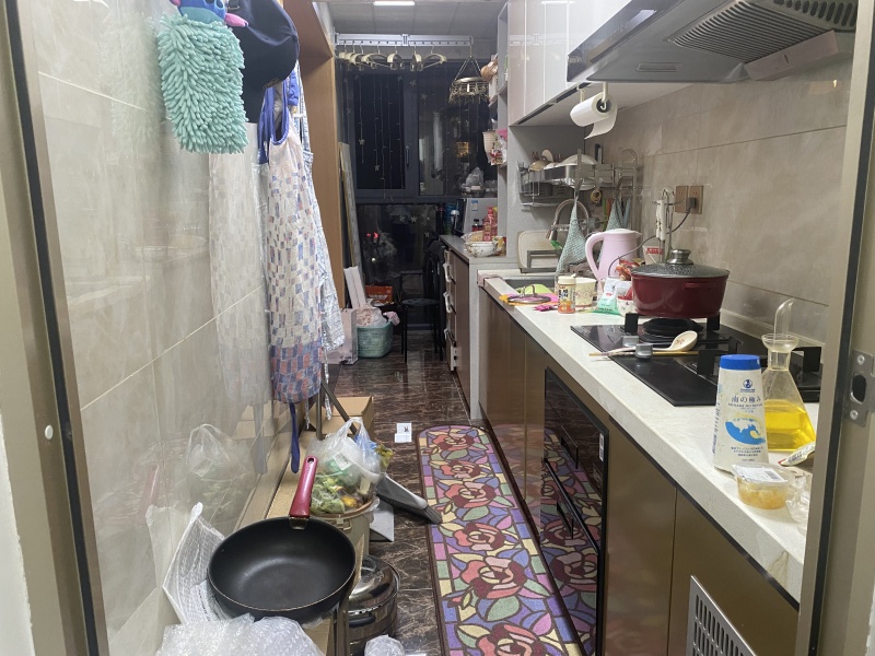 2室2廳 江東境界廚房