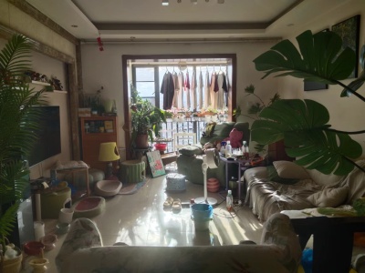 3室2廳2陽(yáng)臺(tái) 銀杏金川