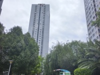 3室2廳1陽臺 金福地花園其他