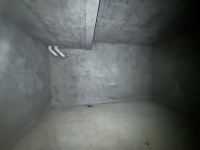 5室2廳2陽(yáng)臺(tái) 金科江湖海其他