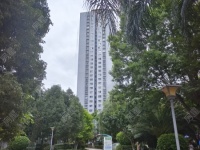 3室2廳1陽臺 金福地花園其他