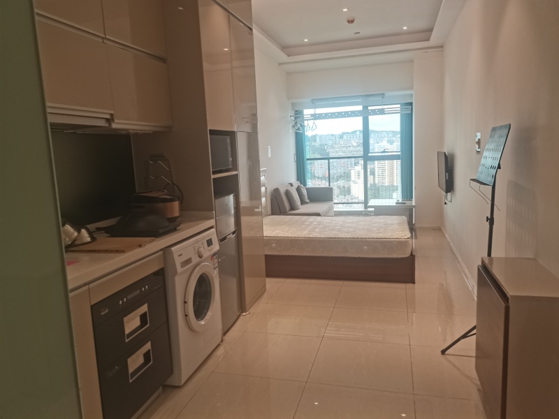 1室1廳 海倫中心公寓客廳