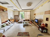 6室2廳3陽臺 清水木華別墅客廳