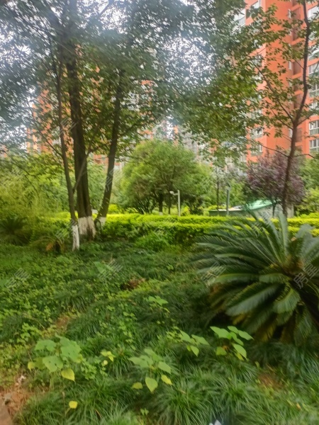 4室2廳2陽臺(tái) 世紀(jì)城玉春苑其他