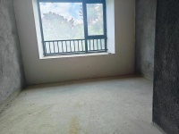 3室2廳2陽臺 東原璞閱客廳