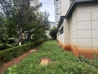 5室2廳2陽(yáng)臺(tái) 金科江湖海自家花園