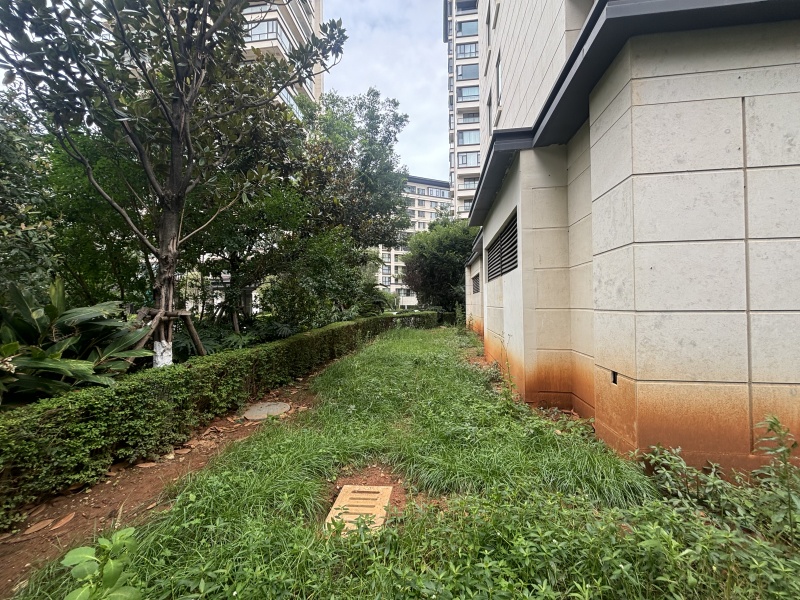 5室2廳2陽(yáng)臺(tái) 金科江湖海自家花園