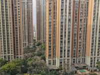 3室2廳1陽臺 新亞洲星辰園其他