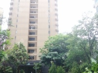 4室2廳1陽臺(tái) 中豪逸境花園其他