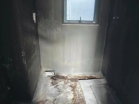 3室2廳2陽臺 東原璞閱客廳