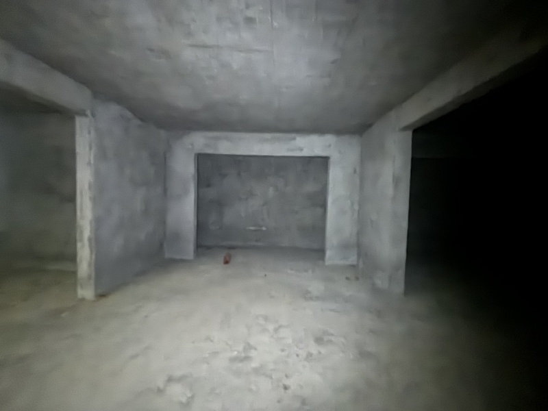 5室2廳2陽(yáng)臺(tái) 金科江湖海其他