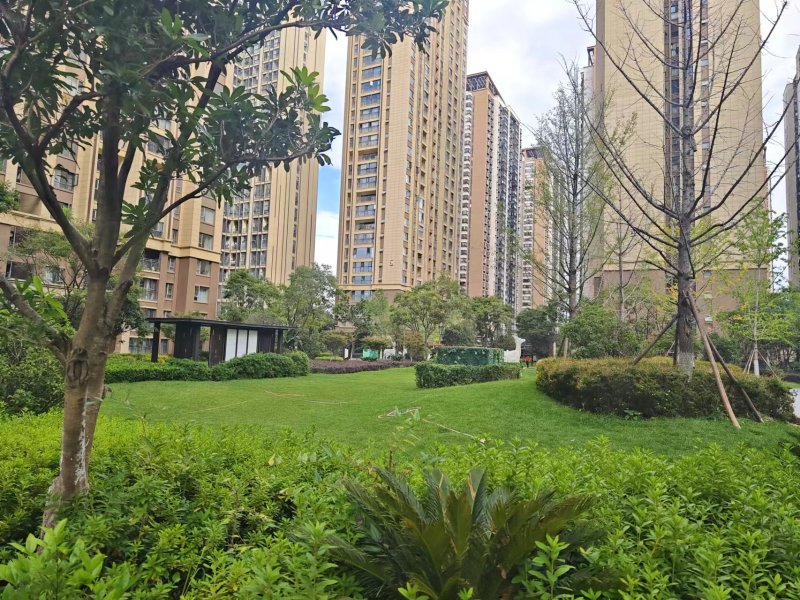 5室2廳4陽臺 藍光水岸公園其他