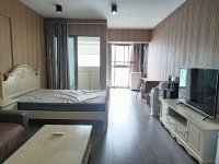 1室1廳1陽(yáng)臺(tái) SOHO俊園客廳