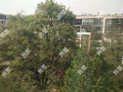 2室2廳2陽臺 十二棵橡樹莊園