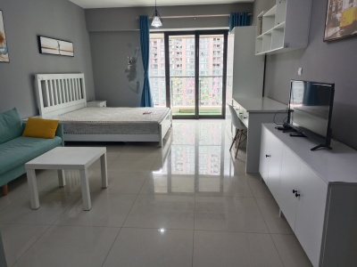 1室1廳1陽(yáng)臺(tái) 和諧世紀(jì)