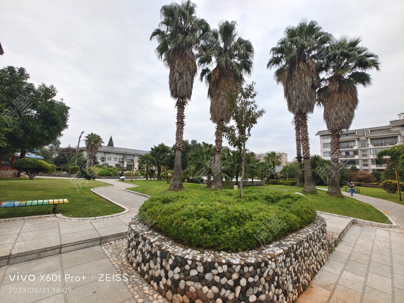 3室2廳2陽(yáng)臺(tái) 陽(yáng)光花園二期昊苑其他